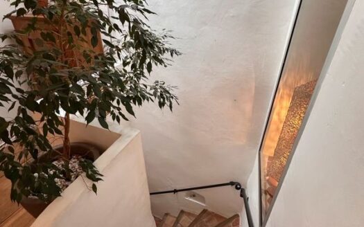 Maison 100m2+ Toit terrasse