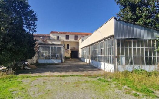 T6 – terrasses + ateliers & dependances