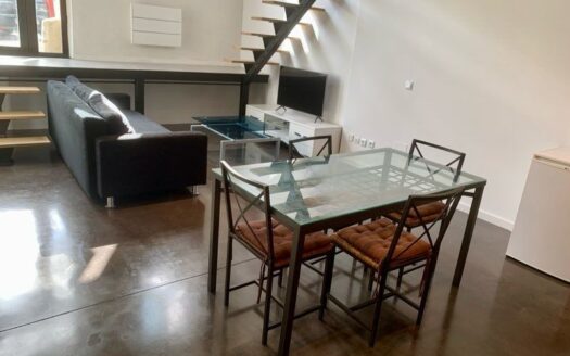Loft rénové aux volumes généreux