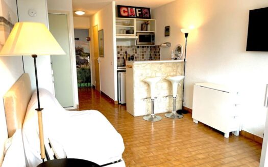 Studio à Port Camargue: 5 min de la plage, idéal pour les vacances ou investissement locatif