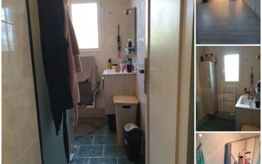 Maison 119m² Dolus-le-Sec 37