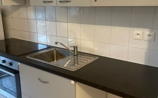 Appartement T3 BRON avec jardin de 100 m2 limite LYON 8ème et 3 ème