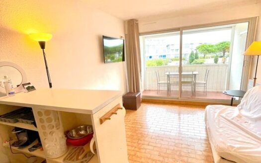 Studio à Port Camargue: 5 min de la plage, idéal pour les vacances ou investissement locatif