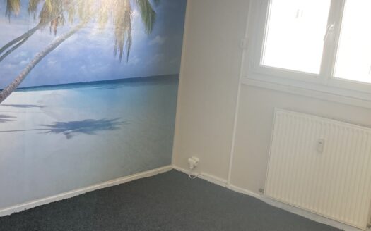 Appartement T4