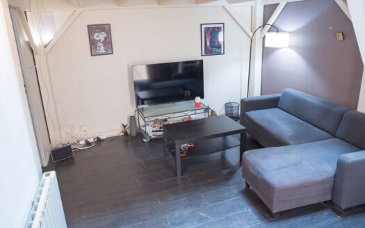 Grand T1 Bordeaux Tondu