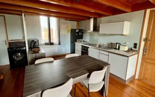 Appartement T1 bis de 56 m² – traversant et lumineux -Bordeaux rive droite, proche tram Galin