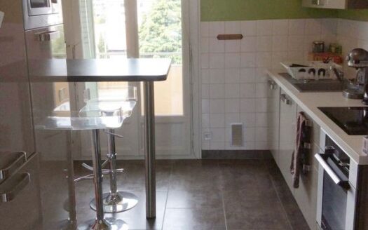 Grand T3 de 79m2 Bourg les valence