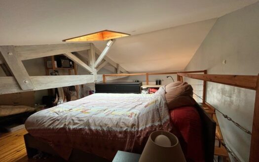 Appartement T1 bis de 56 m² – traversant et lumineux -Bordeaux rive droite, proche tram Galin