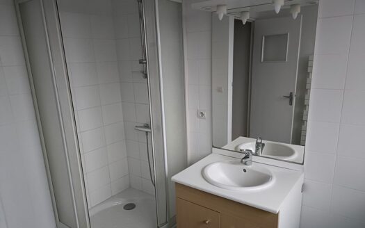 Vente appart t4 loue – 3 chambres – cuisine amenagee – cave