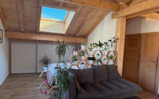 1/3  Appartement T3 85 m², à 100 m du lac