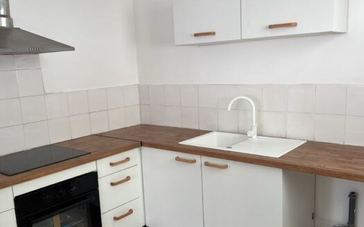 Maison 4 chambres avec jardin