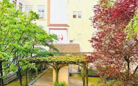 T4 cœur croix-rousse refait à neuf