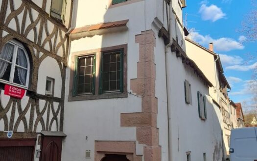 Maison 67600 SELESTAT