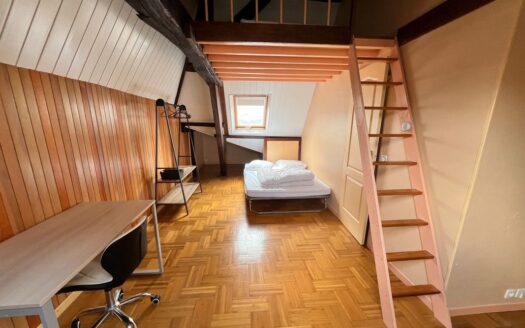 A saisir – Beau duplex 3 pièces en hyper centre d’Angers