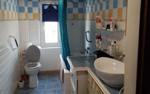 8 Pièces ·  250 m² ·  Montans 81600