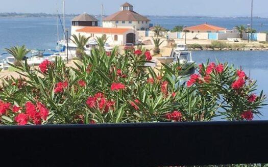 Appartement a vendre