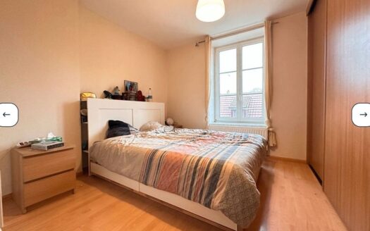 F3 lumineux, parking, cave et grenier