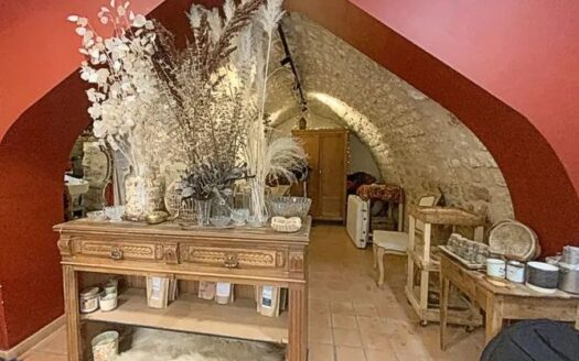 Grand appartement dans maison de village