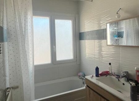 Appartement T2 48m2 Secteur Marie de Mons Europe