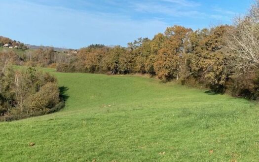 Propriété de 13 ha avec vue exceptionnelle sur les Pyrénées, vignes, prairies et bois