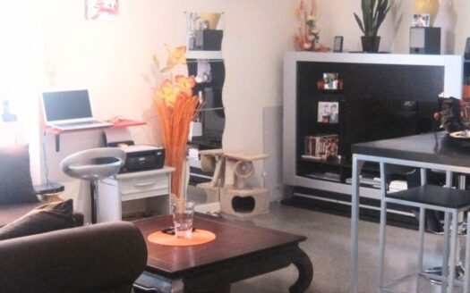 Maison de rue sans balcon ni cour