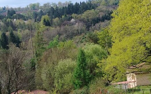Vente Maison individuelle