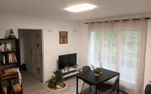 Appartement 46m2 entièrement rénové
