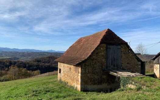 Propriété de 13 ha avec vue exceptionnelle sur les Pyrénées, vignes, prairies et bois