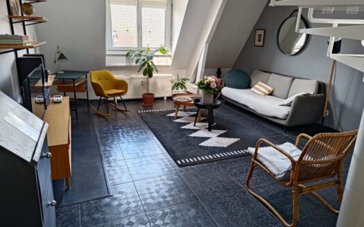 Appartement Duplex Vielle Ville Belfort