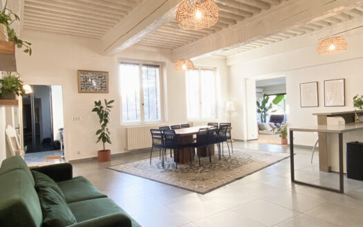 Rare à la vente – Duplex de charme aux portes de Lyon