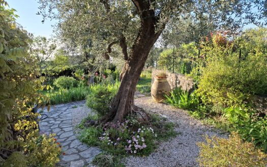 Maison provençale discretement mitoyenne