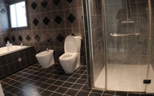 T3 entièrement rénové proche place caramy