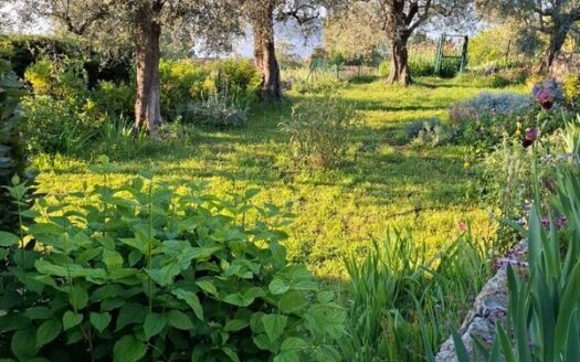 Maison provencale avec jardin et vue dégagée