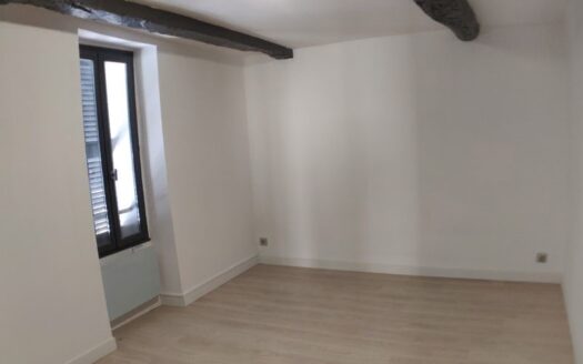 T3 entièrement rénové proche place caramy