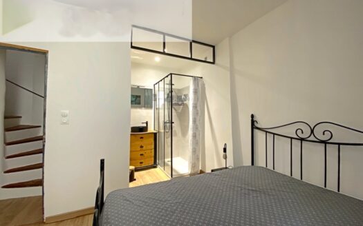 Maison 2 chambres + toit-terrasse – Quartier La Roquette – Arles