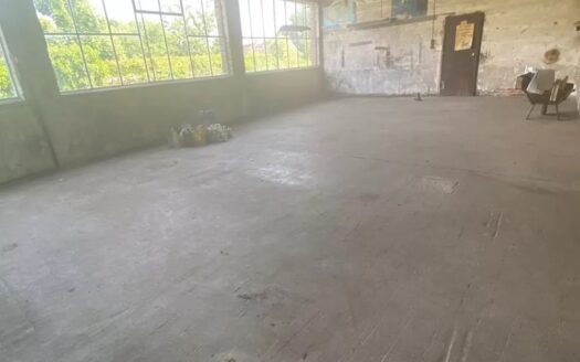 Vente Plateau 235 m²