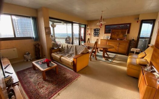 Grand Appartement Créteil Lac -Proche CCR zone piétonne