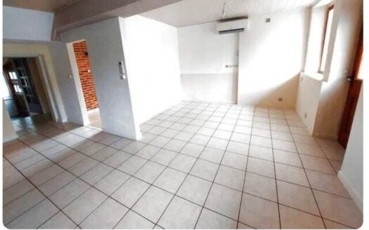 Vente maison à monetay sur allier 03