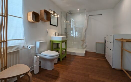 Maison de charme avec piscine et activité de location touristique rentable