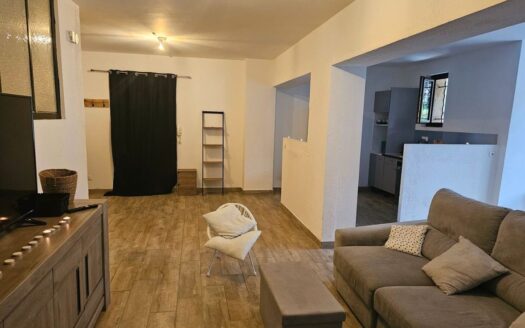 Grand T4 de 95 m² rénové