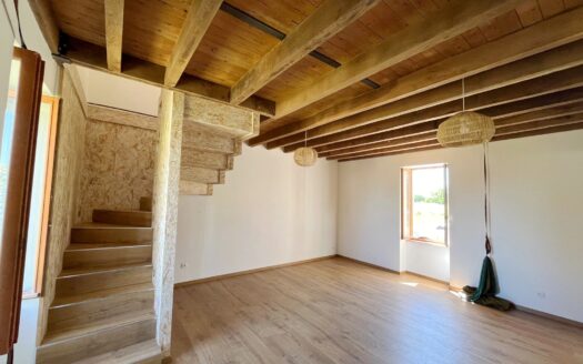 Maison 4p à Limoise 5000m2 terrain