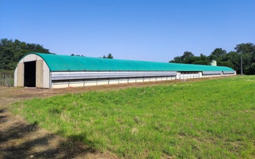 Ferme