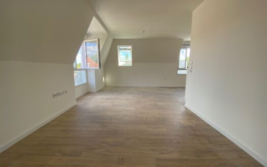 Grand studio de 39 m² en centre-ville avec PKG en sous-sol