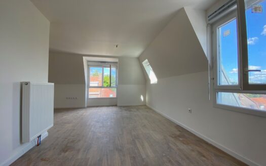 Grand studio de 39 m² en centre-ville avec PKG en sous-sol