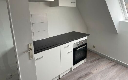 Appartement T5 en plein coeur de Moulins avec garage