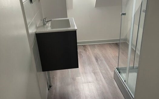 Appartement T5 en plein coeur de Moulins avec garage