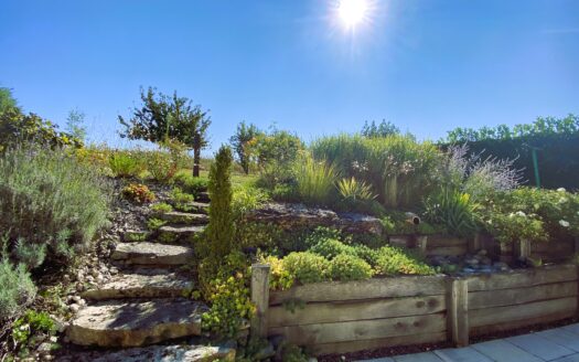 🏡 Maison 3 pièces – Grand terrain arboré