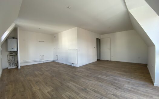 Bel appartement en centre-ville