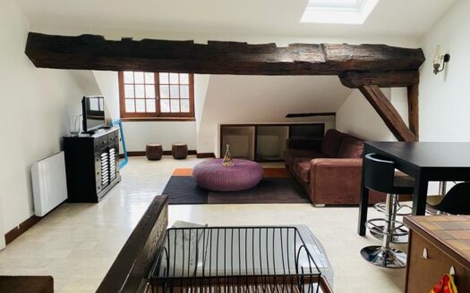 Appartement T2 Blois Quartier Cathédrale