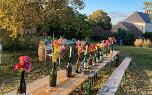 Domaine viticole et maison (41)